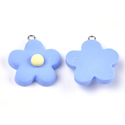 Resin Pendants X-RESI-Q207-01-1