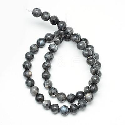 Natural Larvikite Beads Strands G-R345-6mm-33-1