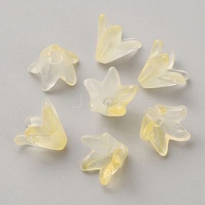 Handmade Lampwork Beads Cap LAMP-TAC0006-08F-1