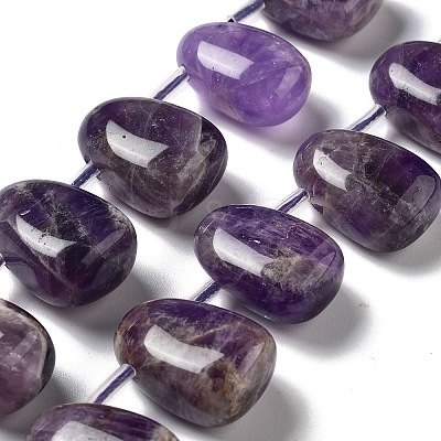 Natural Amethyst Beads Strands G-P528-E06-01-1
