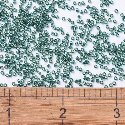 MIYUKI Delica Beads SEED-X0054-DB0607-1