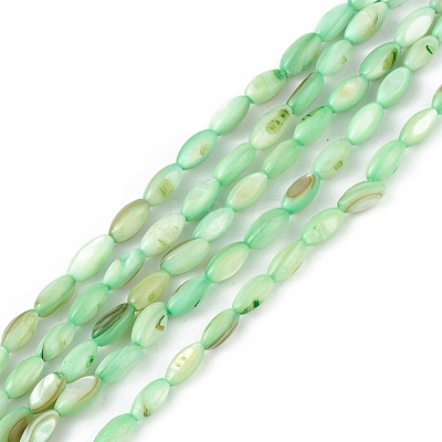 Natural Freshwater Shell Dyed Beads Strands SHEL-M018-13-03-1