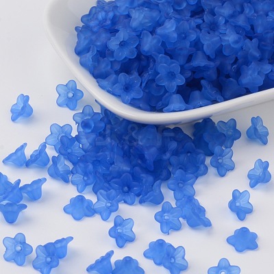 Transparent Acrylic Beads X-PL554-09-1