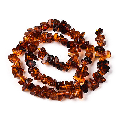 Natural Amber Beads Strands G-T138-235D-1