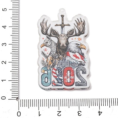 Football Theme Printed Transparent Acrylic Pendants OACR-B055-03B-1