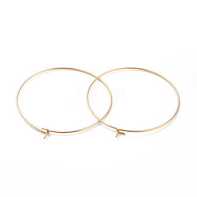 316 Surgical Stainless Steel Hoop Earring Findings STAS-J025-01F-G-1
