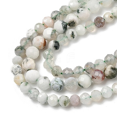 Natural Tree Agate Beads Strands G-G189-D12-03-1