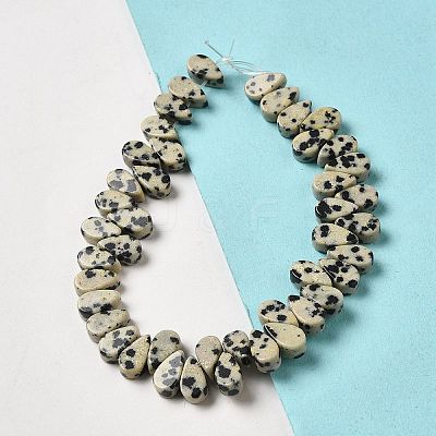 Natural Dalmatian Jasper Beads Strands G-B064-B11-1