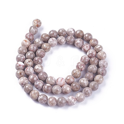 Natural Maifanite/Maifan Stone Beads Strands G-L500-03A-6mm-1
