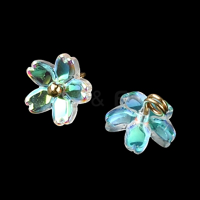 Alloy Acrylic Pendants TACR-P016-01G-09-1