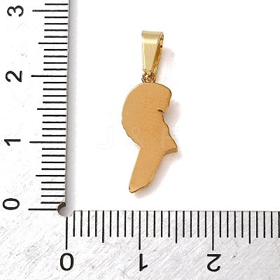 304 Stainless Steel Micro Pave Cubic Zirconia Pendants CU-CBA703A-03G-02-1