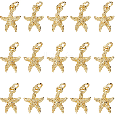 30Pcs Electroplated Alloy Charms FIND-SC0012-41-1