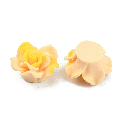 Smudged Color Frosted Resin Cabochons RESI-TAC0018-13F-1