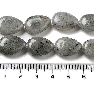 Natural Labradorite Beads Strands G-P528-L03-01-1