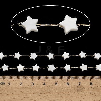 Handmade 304 Stainless Steel Shell Star Link Chains CHS-B011-01B-G-1