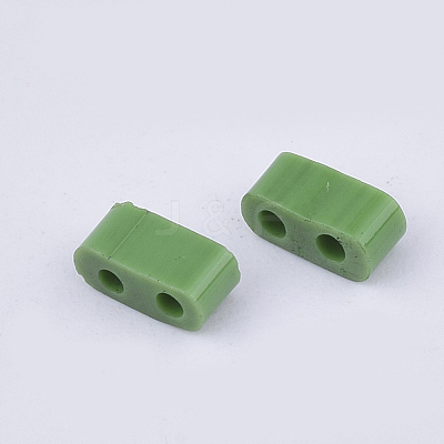 FGB 2-Hole Glass Seed Beads X-SEED-S031-M-047-1