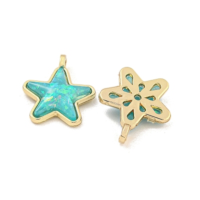 Translucent Resin Pendants KK-M291-24-1