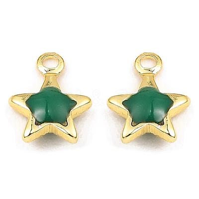 Brass Enamel Charms KK-K337-06G-1