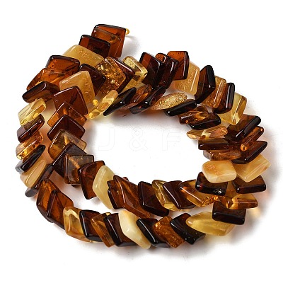 Natural Amber Beads Strands G-K376-C04-01-1