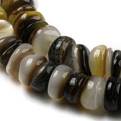 Natural Black Lip Shell Beads Strands BSHE-Z005-06-1