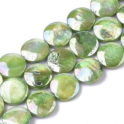Freshwater Shell Beads Strands SHEL-S274-52B-1