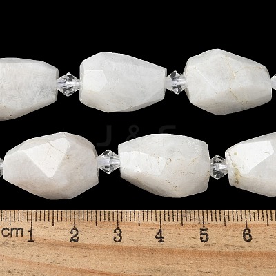 Natural Rainbow Moonstone Beads Strands G-H095-A07-01-1