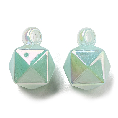 Acrylic Pendants OACR-B011-A01-1