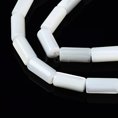 Natural Trochid Shell/Trochus Shell Beads Strands SSHEL-S266-020A-04-1