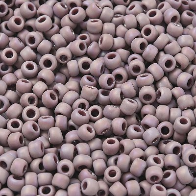 TOHO 6/0 Round Beads X-SEED-TR06-0412F-1
