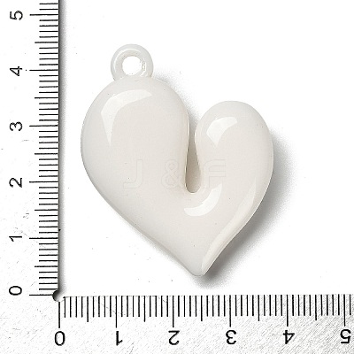 Acrylic Pendants OACR-S049-02B-1