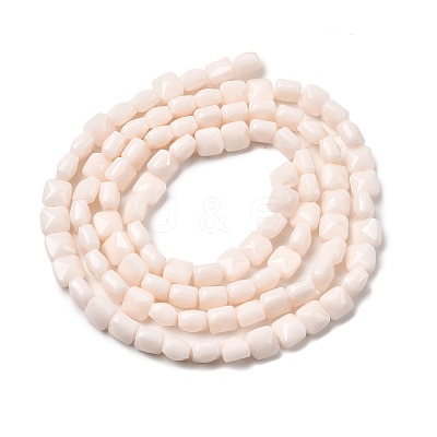 Opaque Glass Beads Strands GLAA-L050-C20-1