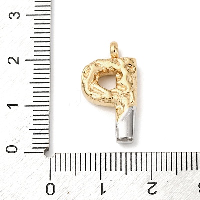 304 Stainless Steel Pendants STAS-Z170-01GP-P-1