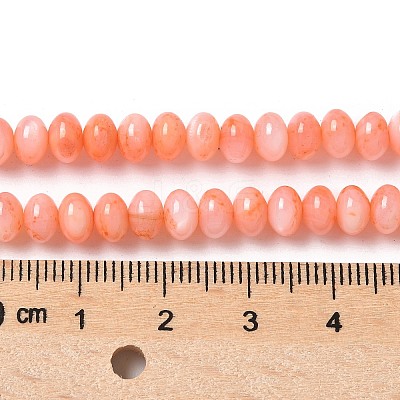 Natural Freshwater Shell Beads Strands SSHEL-C013-07A-1
