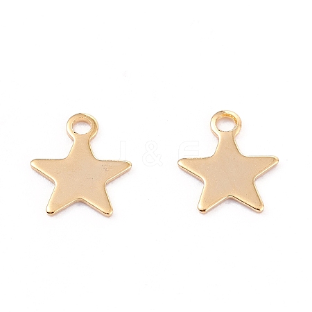 201 Stainless Steel Charms X-STAS-B001-14A-G-1