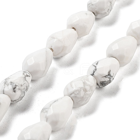 Natural Howlite Beads Strands G-P520-B07-01-1