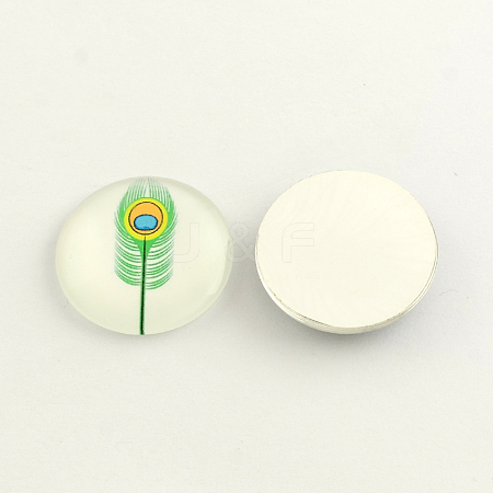 Feather Pattern Flatback Half Round Glass Dome Cabochons for DIY Projects X-GGLA-R026-12mm-26Z-1