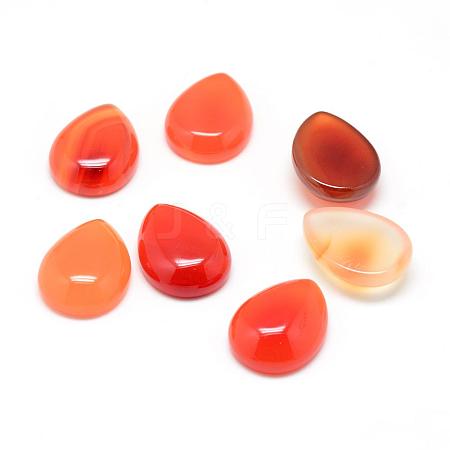 Dyed Natural Carnelian Gemstone Cabochons G-T024-18x25mm-14-1