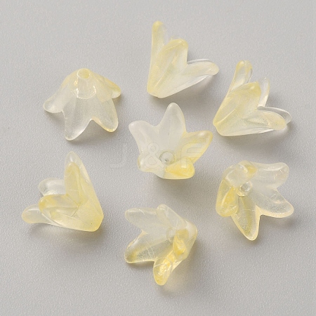 Handmade Lampwork Beads Cap LAMP-TAC0006-08F-1