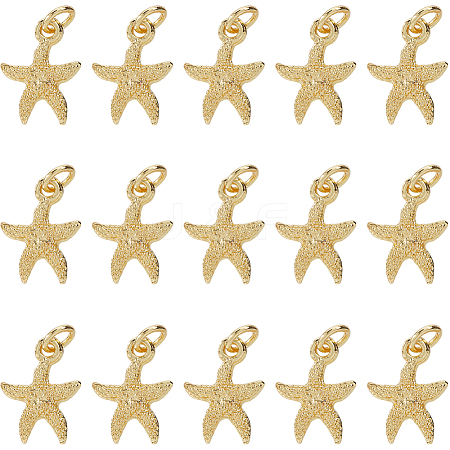 30Pcs Electroplated Alloy Charms FIND-SC0012-41-1