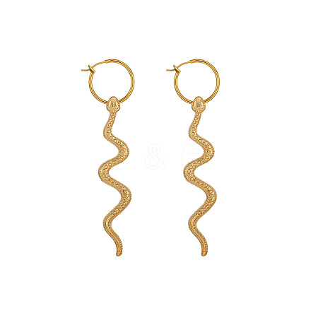 Alloy Hoop Earrings FS-WGA2887-01-1