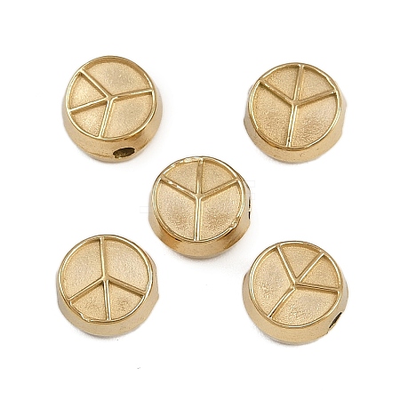 304 Stainless Steel Beads STAS-K295-31G-1