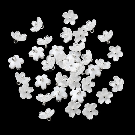 Glass Charms GLAA-G127-05J-1