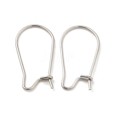 Tarnish Resistant 316 Surgical Stainless Steel Hoop Earrings Findings Kidney Ear Wires LS-STAS-E009-6-1