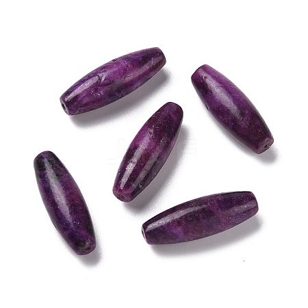 Natural Kunzite Beads G-Q017-02-1