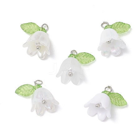 5Pcs Transparent Acrylic Pendants PALLOY-JF04703-02-1