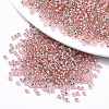Glass Seed Beads SEED-S042-04A-04-1