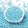 6/0 Glass Seed Beads SEED-L011-08A-13-2