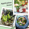 PVC Artificial Succulent Plant AJEW-SP0004-35B-6