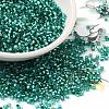 Glass Seed Beads SEED-S042-04B-29-1