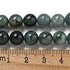 Natural Myanmar Jadeite Beads Strands G-B099-C06-04-5